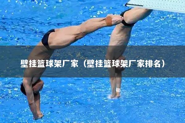 壁挂篮球架厂家（壁挂篮球架厂家排名）