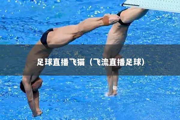 足球直播飞猫（飞流直播足球）
