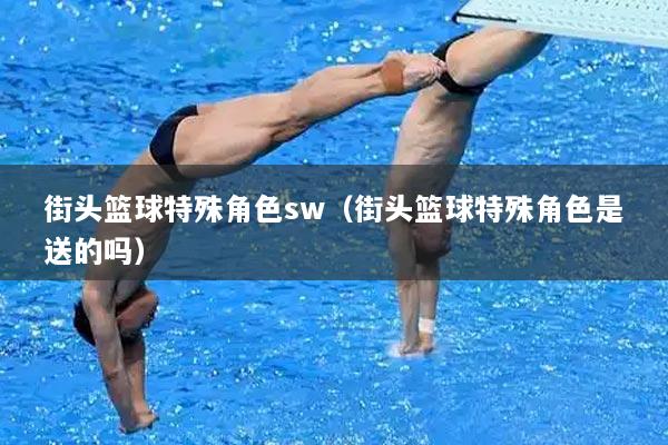 街头篮球特殊角色sw（街头篮球特殊角色是送的吗）